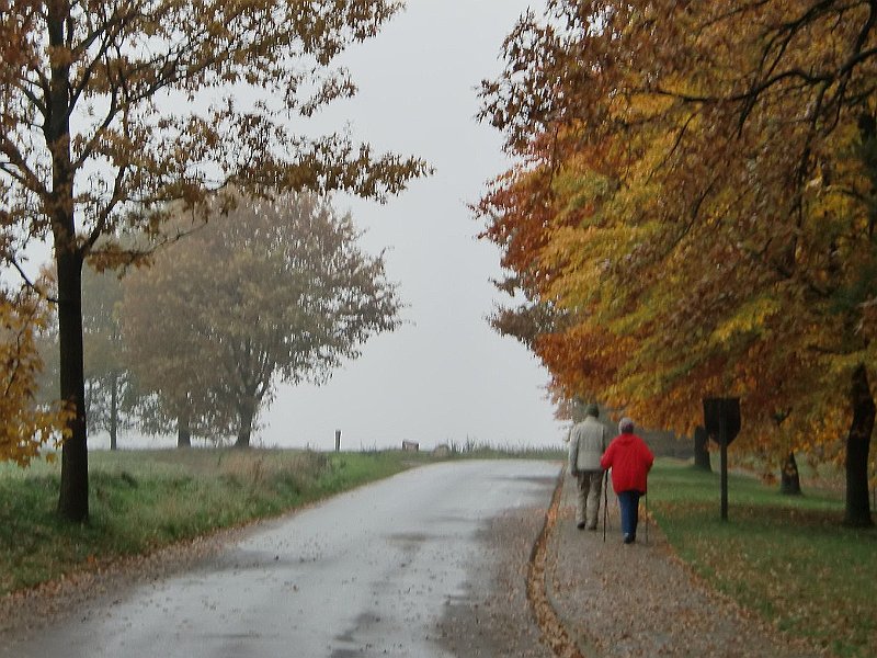 Wilseder Berg 1 2010 045